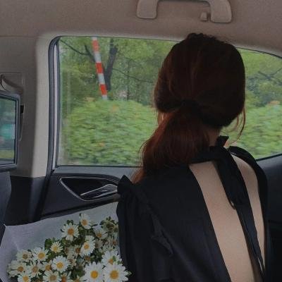 再世红装覆江山